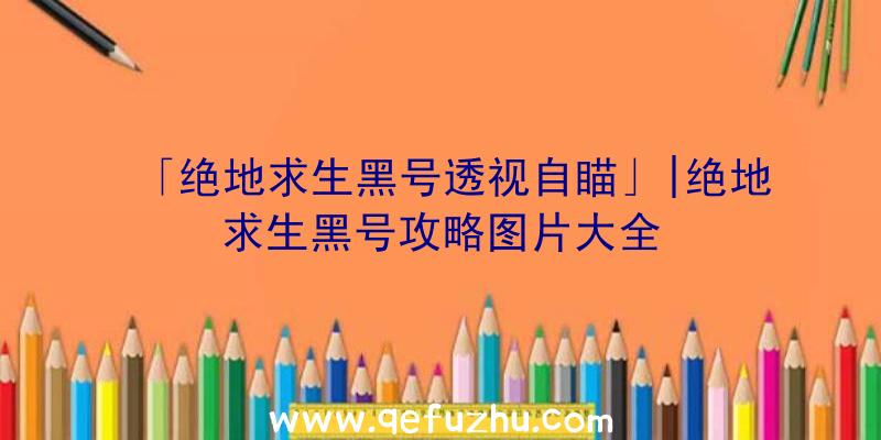 「绝地求生黑号透视自瞄」|绝地求生黑号攻略图片大全